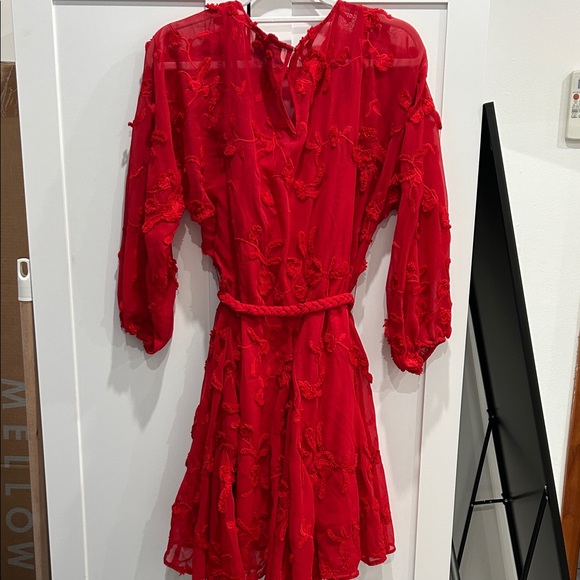 Mare Mare Anthropologie Elegant Red Embroidered Dress - can fit up to a Medium - Picture 5 of 6